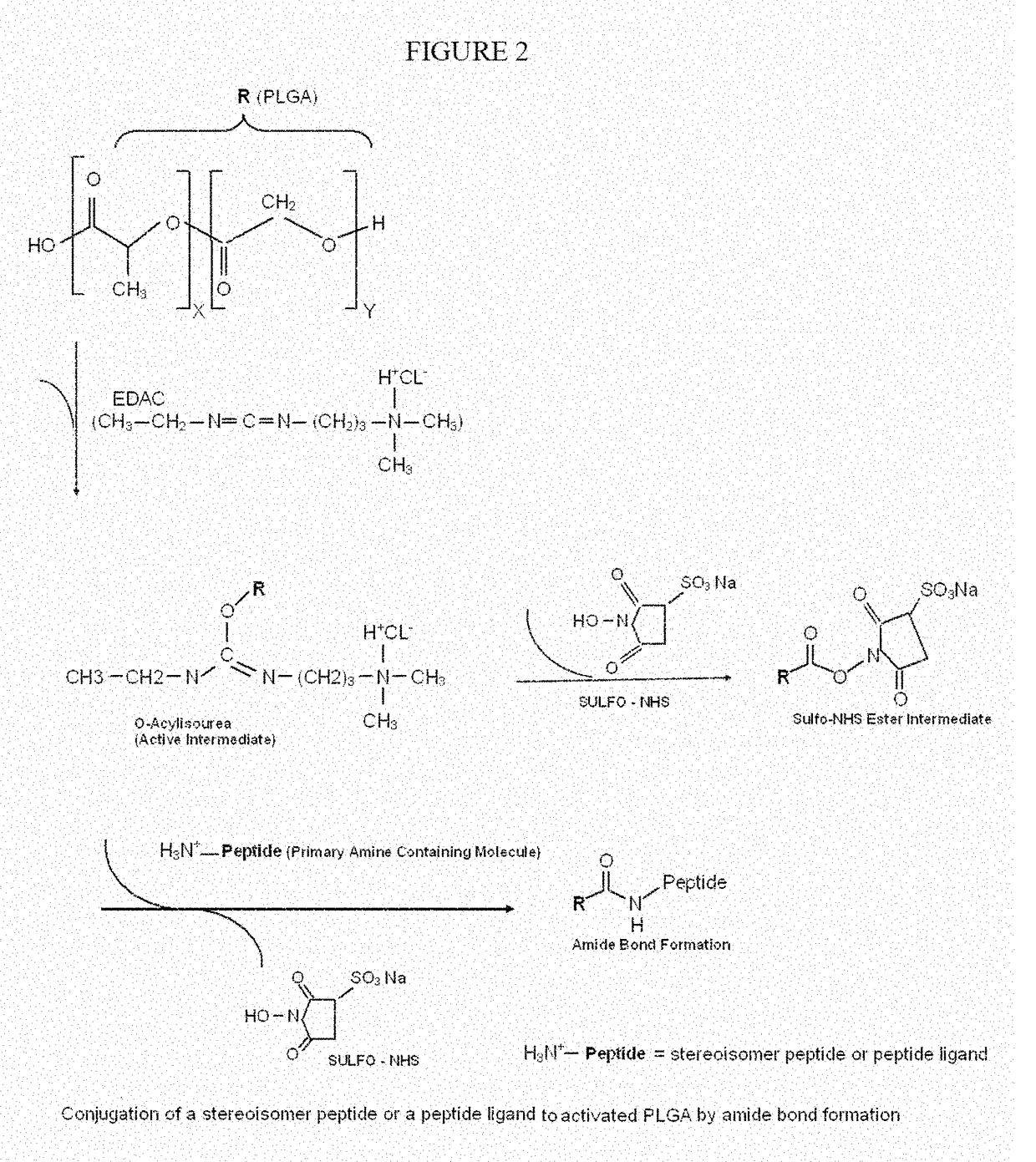 Stereoisomer peptides, their polymer conjugates, their encapsulation into nanoparticles, and uses thereof for the treatment of diseases caused by abnormal angiogenesis