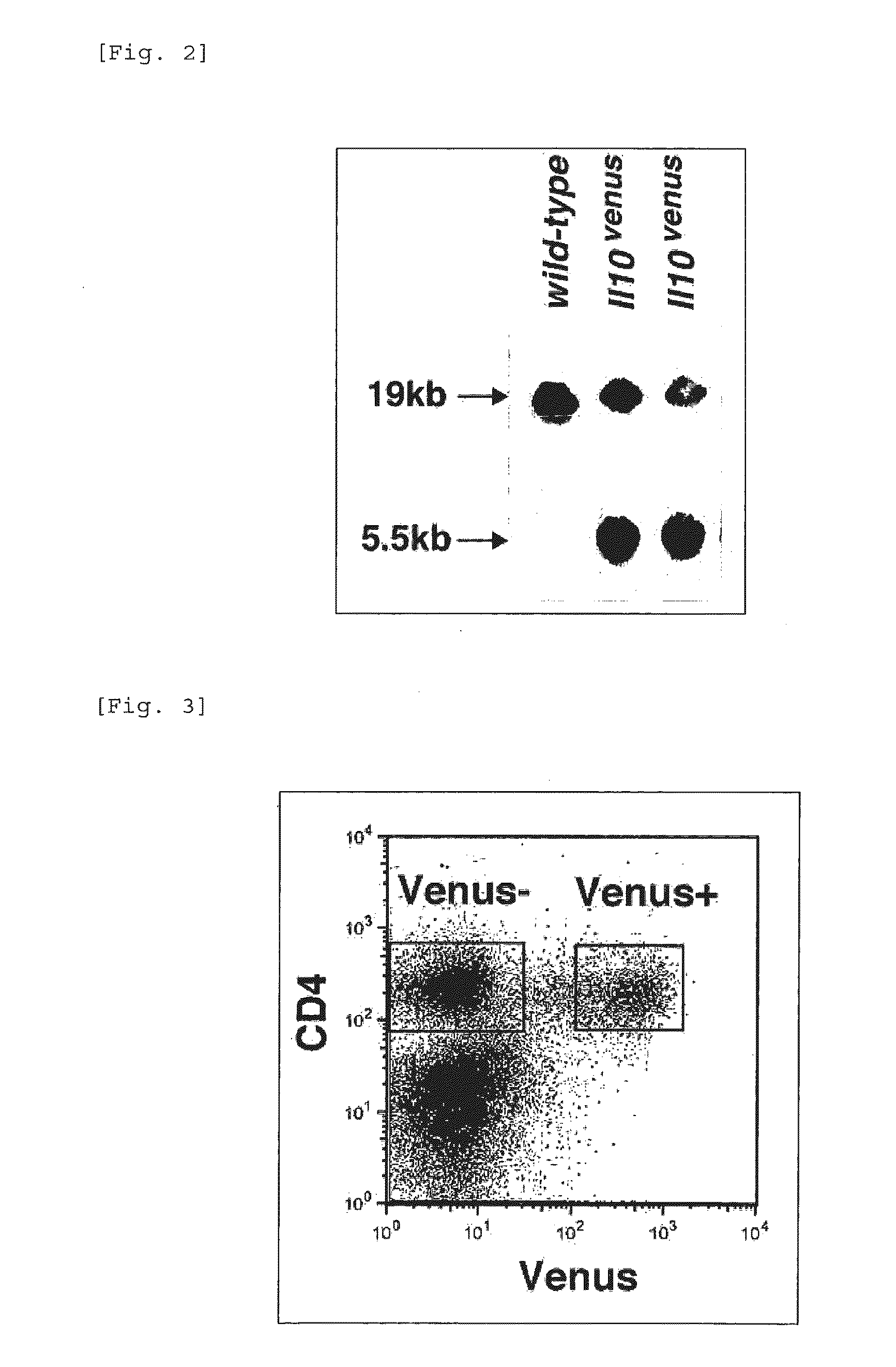 Composition for inducing proliferation or accumulation of regulatory t cells