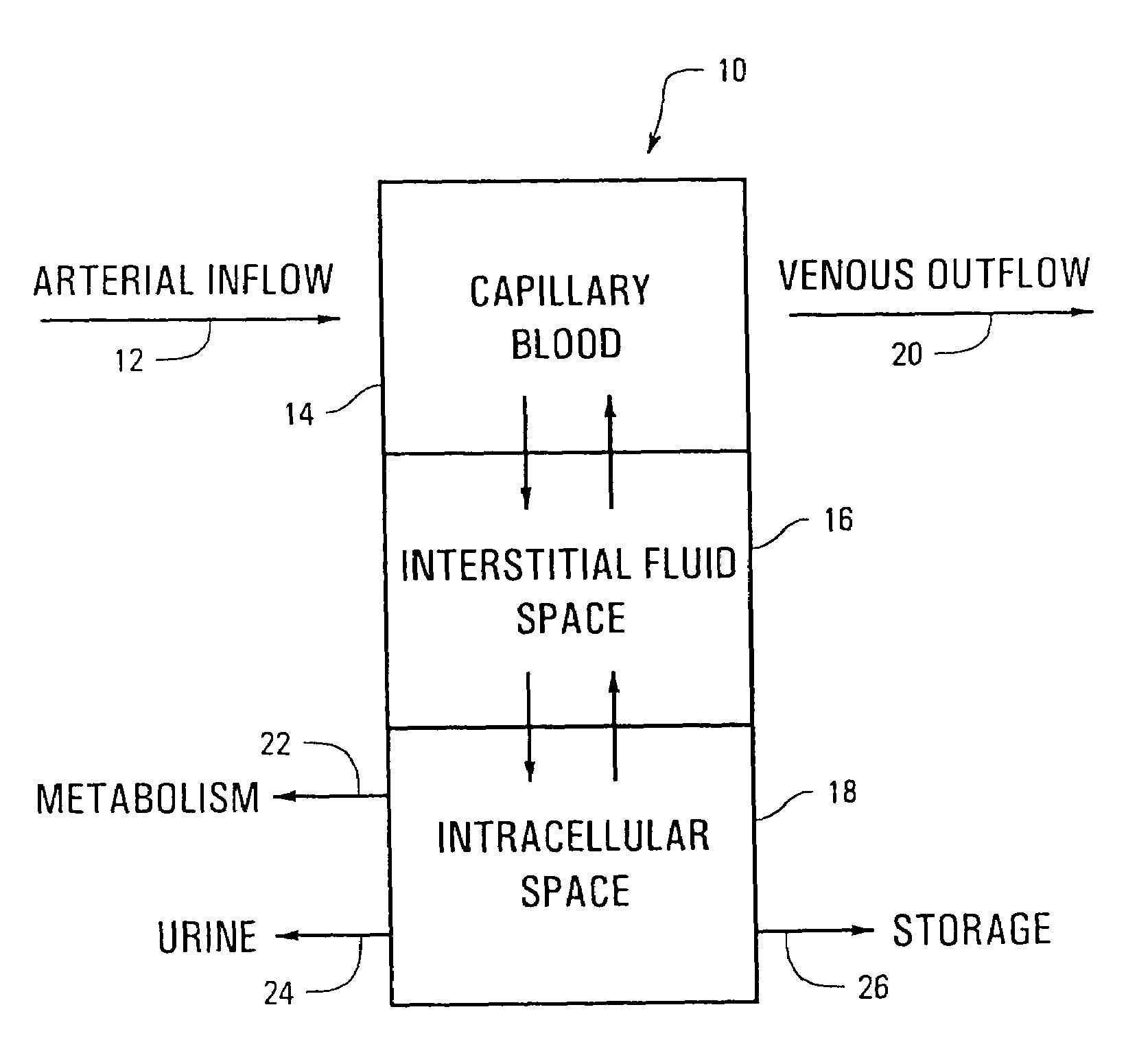 Apparatus and method for non-invasive spectroscopic measurement of analytes in tissue using a matched reference analyte