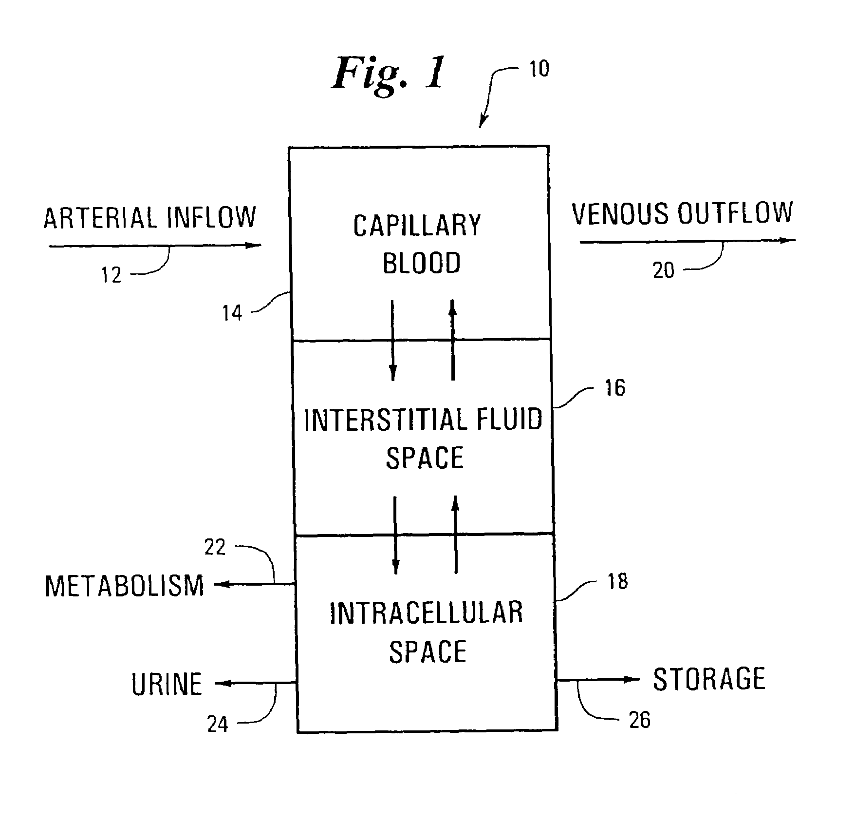 Apparatus and method for non-invasive spectroscopic measurement of analytes in tissue using a matched reference analyte