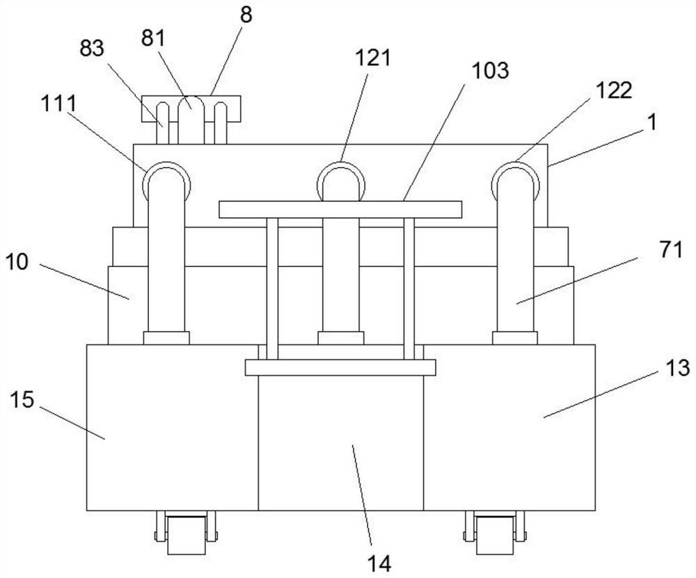 Actinidia arguta picking device with detection function