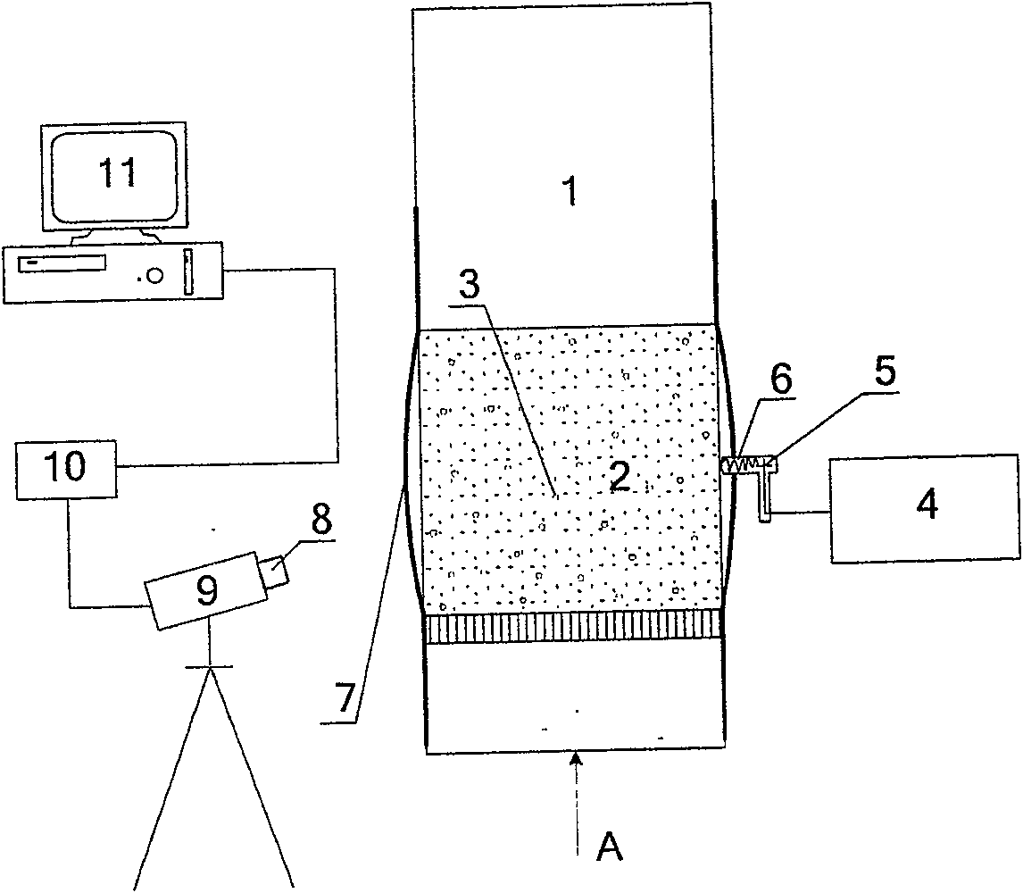 Measuring apparatus and measuring method for gas-solid fluidized bed particle mixing