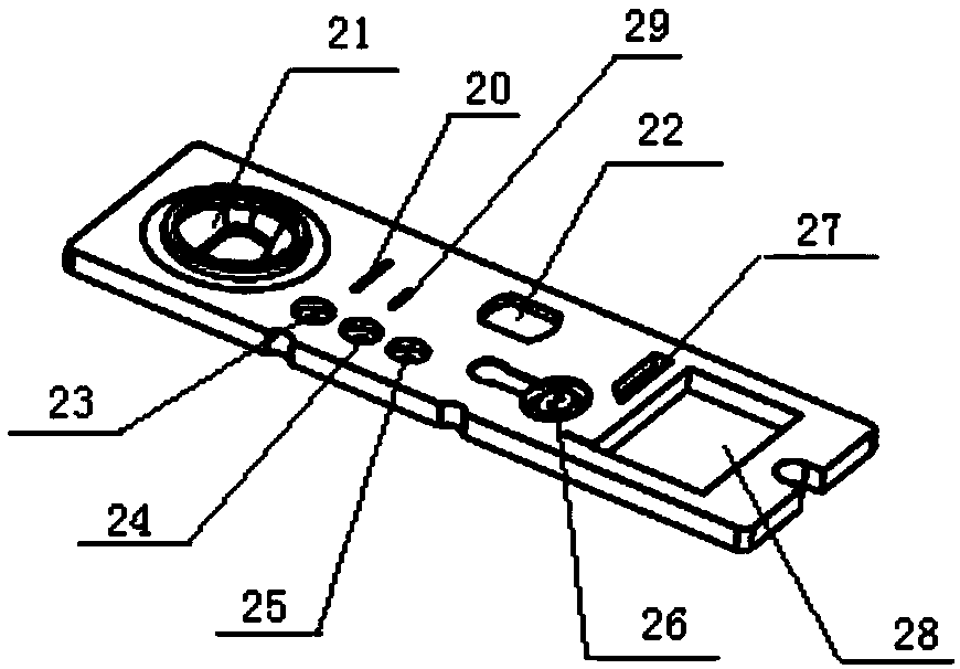 Chemiluminiscent microfluidic chip based on magnetic beads