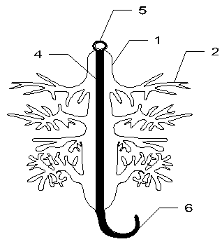 Inserted-rod wind prevention and sand fixation root system, suspension wind prevention and sand fixation root system and support thereof