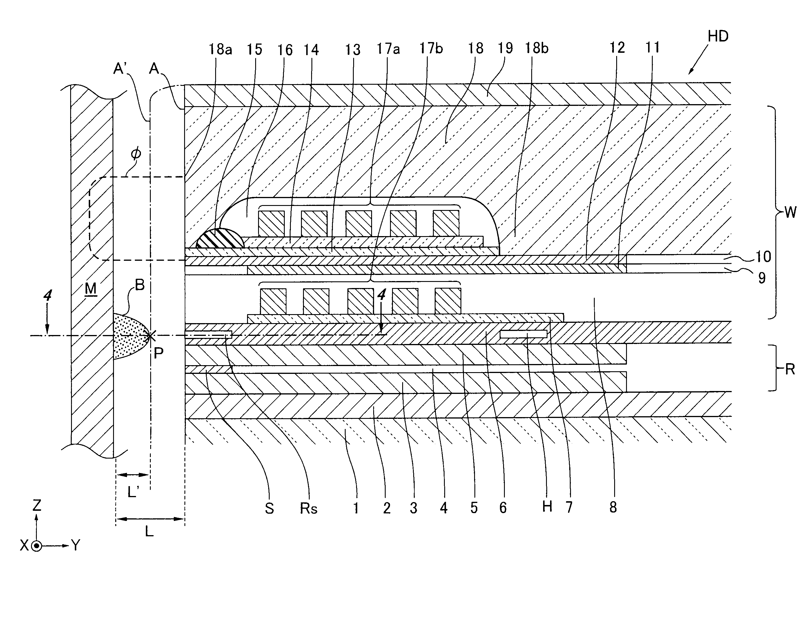 Magnetic head, head assembly and magnetic recording/reproducing apparatus