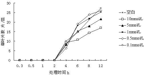 Method for evaluating biotoxicity of heavy metal by duckweed