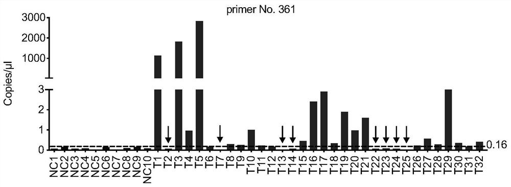 Amplification primer for detecting echinococcosis through ddPCR and construction method and application of amplification primer