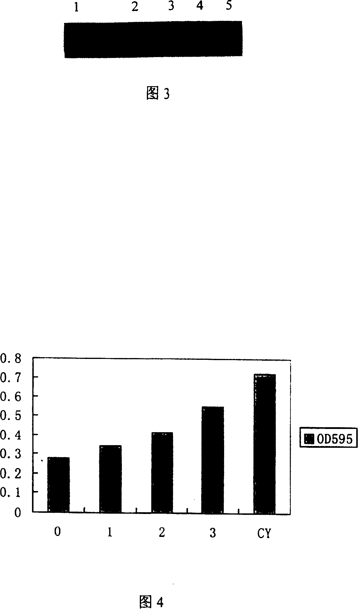 Micro-molecular polypeptides capable of combining with gold staphylococcus virulence factor regulatory protein and its pharmaceutical use