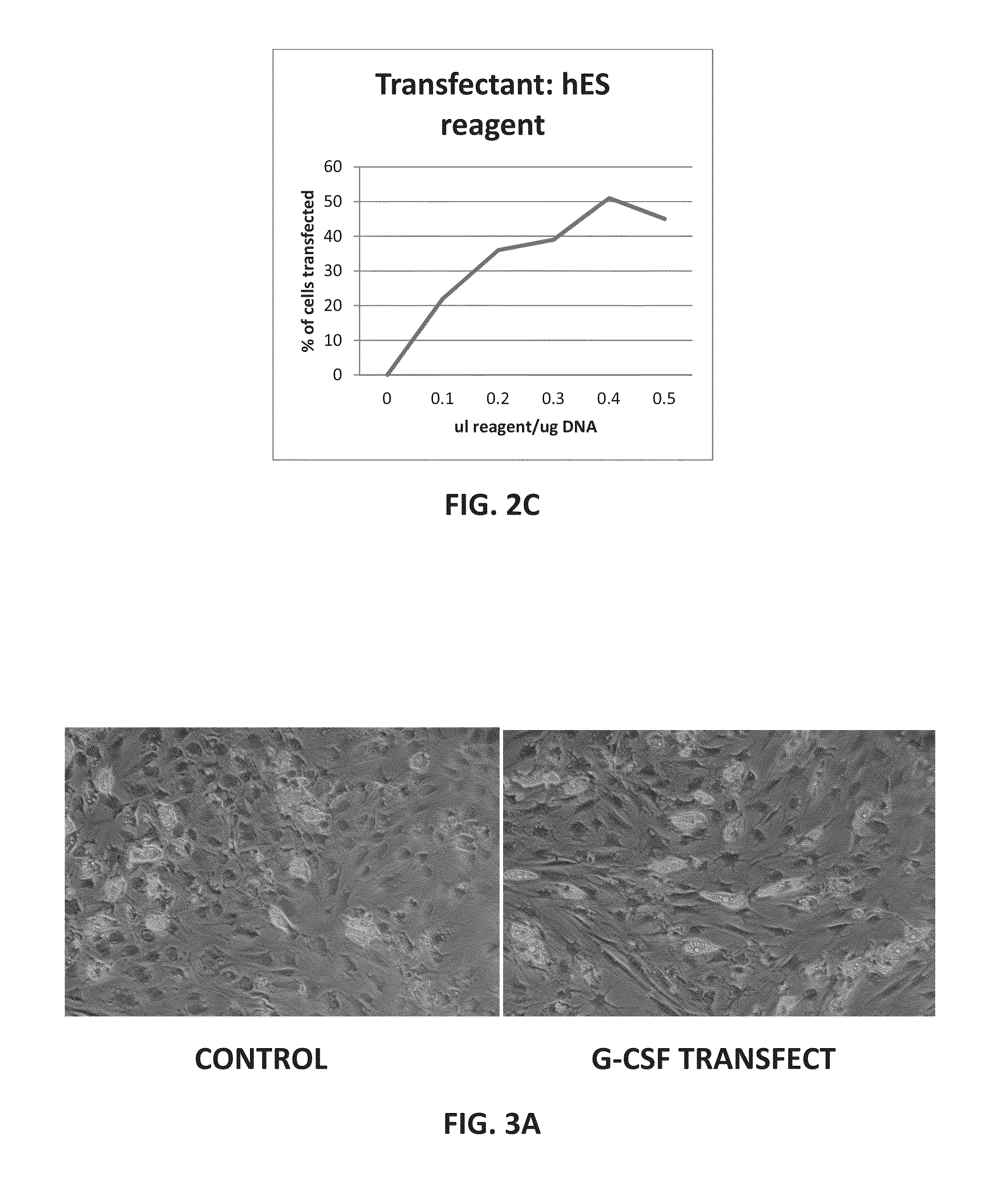 Transgenic therapeutic stem cells and methods for their use and manufacture