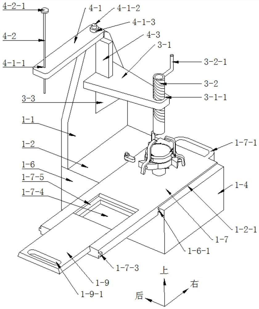 A kind of fruit pitting device