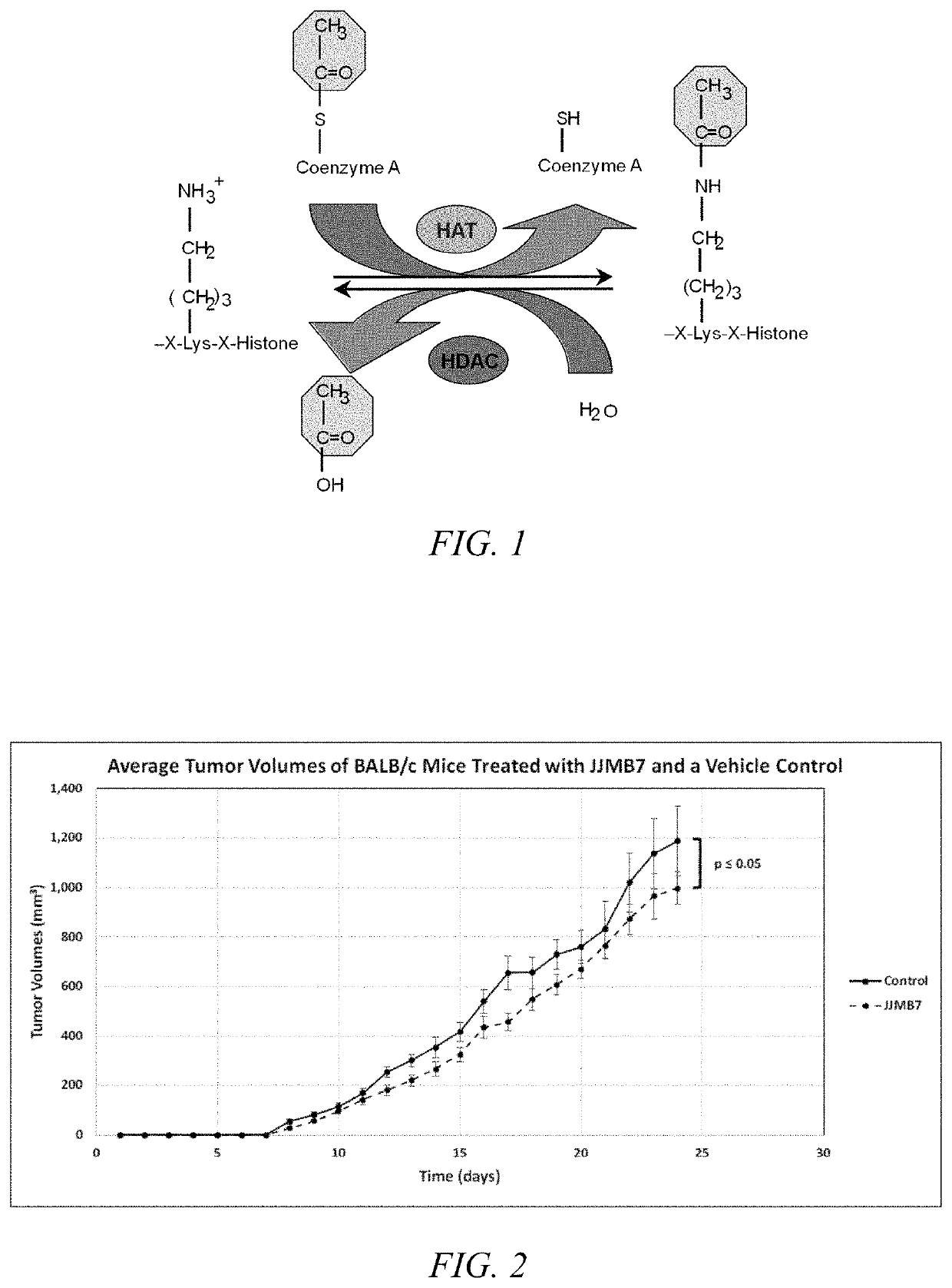 Use of histone acetyltransferase inhibitor amidoximes as anti-proliferative agents