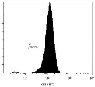 A method for inducing differentiation into NK cells from human embryonic stem cells