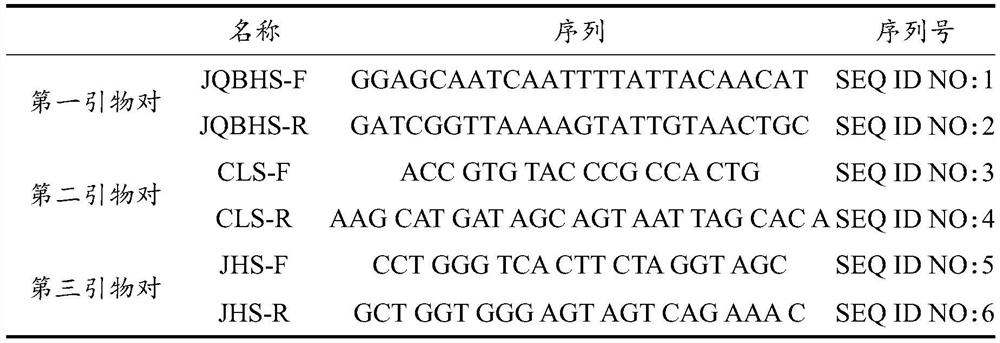 Primer for multi-PCR (Polymerase Chain Reaction) recognition of bungarus multicinctus medicinal material, standard decoction and traditional Chinese medicine formula granules as well as application and recognition method of primer