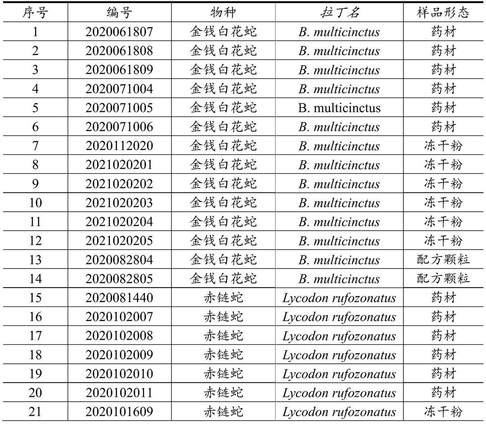 Primer for multi-PCR (Polymerase Chain Reaction) recognition of bungarus multicinctus medicinal material, standard decoction and traditional Chinese medicine formula granules as well as application and recognition method of primer