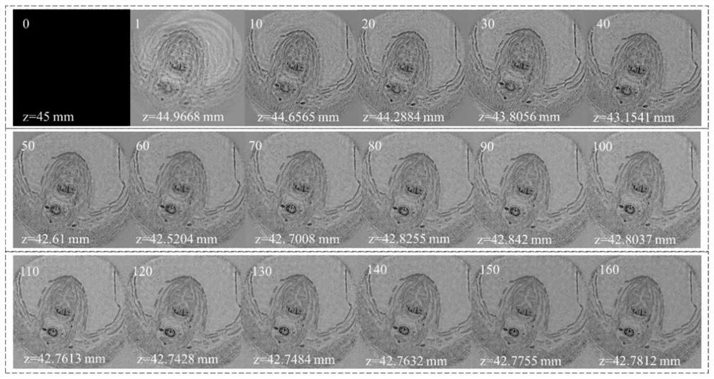 Image reconstruction method and system based on laminated self-focusing experiment