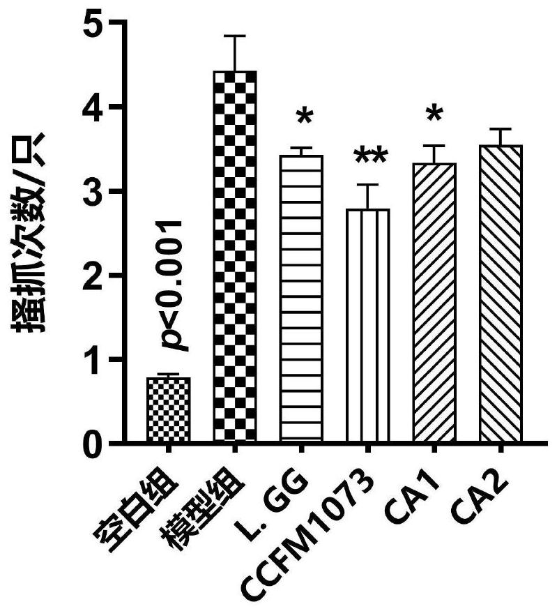 A product for preventing and/or treating atopic dermatitis