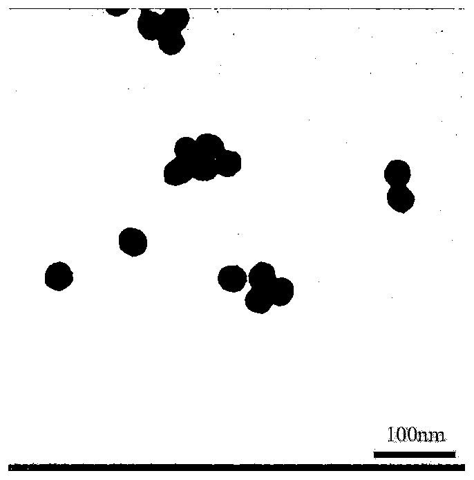 Method of utilizing rare earth up-conversion fluorescent particles to mark sendai virus envelope