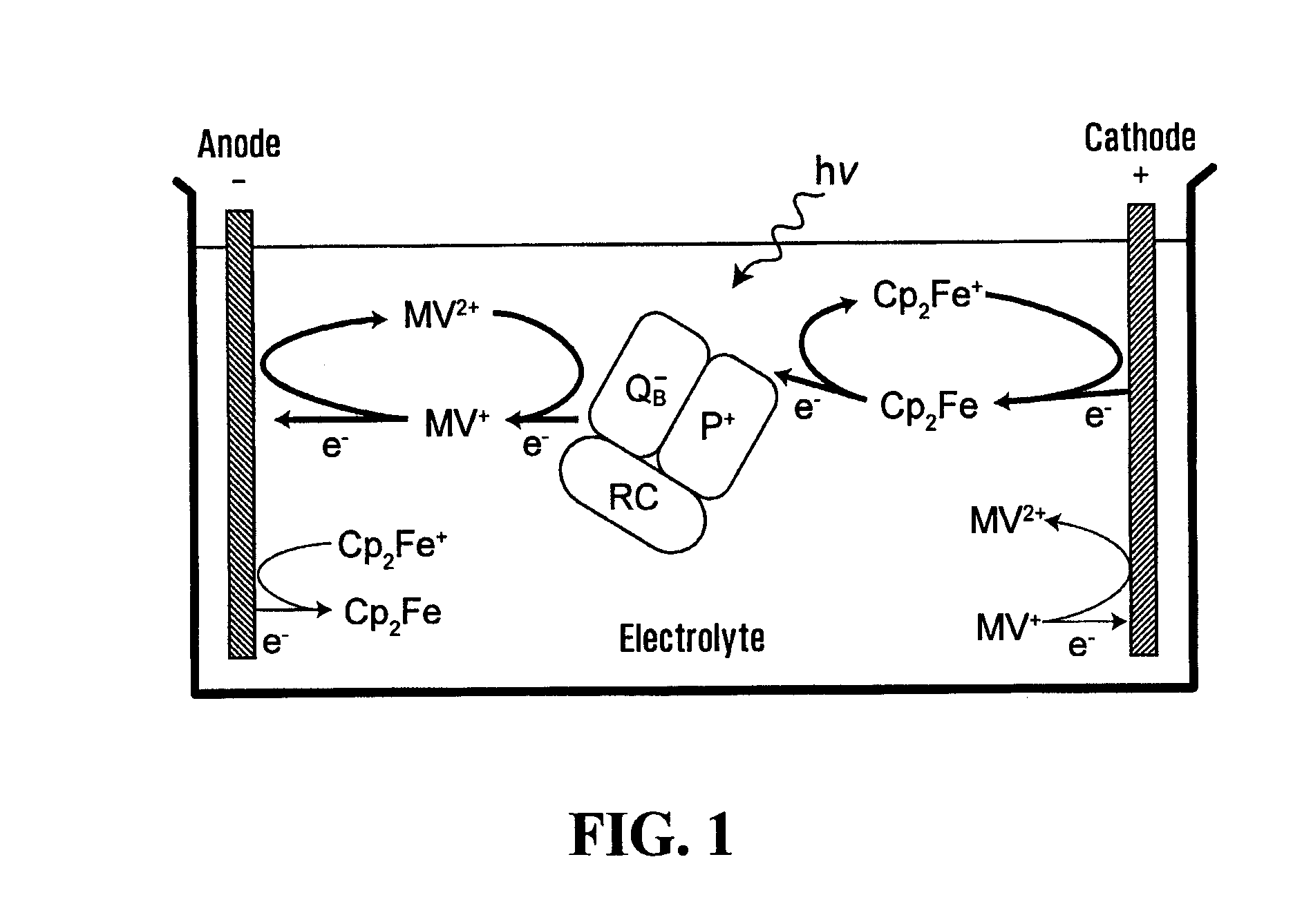 Electrochemical photovoltaic cells