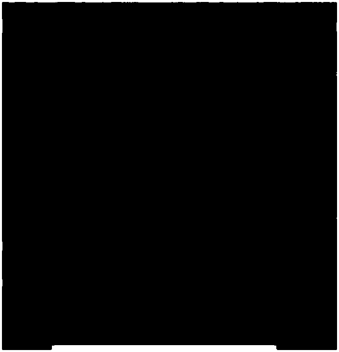 Organic rice and planting method thereof