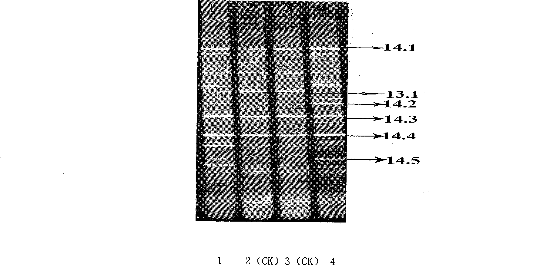 Soil conditioner and organic fertilizer containing soil conditioner, and method of producing the same