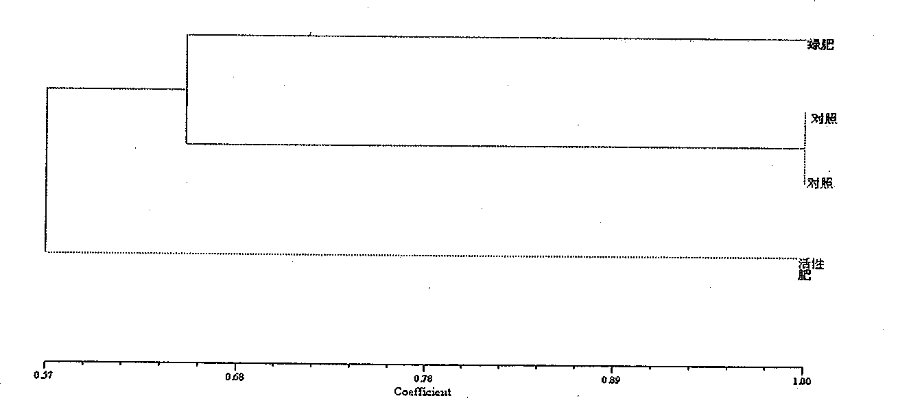 Soil conditioner and organic fertilizer containing soil conditioner, and method of producing the same