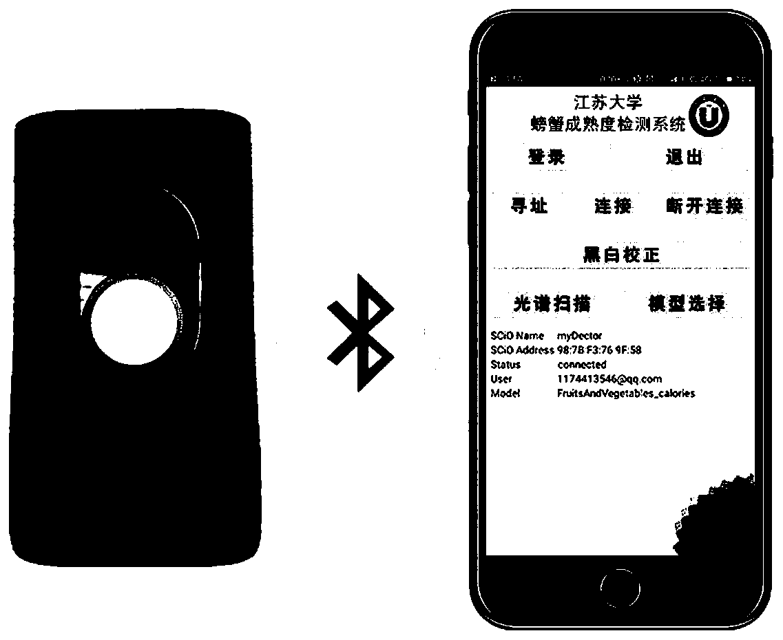 Nondestructive testing method for internal eating quality of Eriocheir sinensis based on smart phone