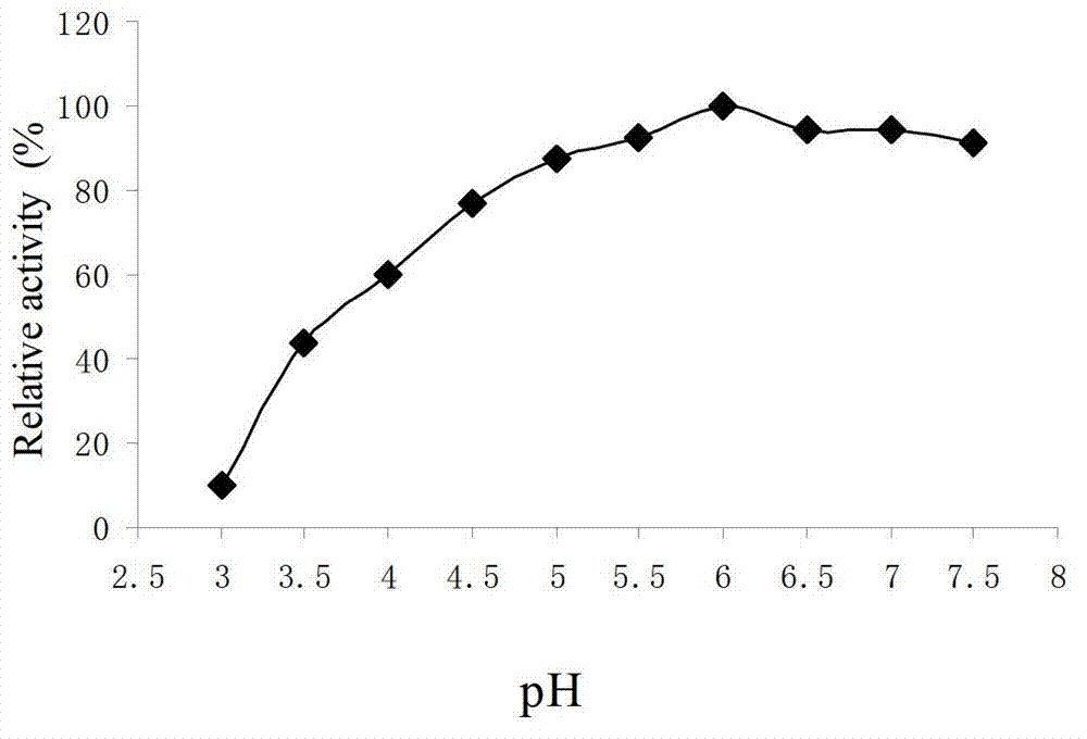 High-sugar-tolerant beta-glucosaccharase Bg14, and expressed gene and application thereof