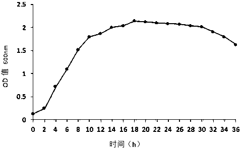 A high-quality yeast for Xinjiang local characteristic naan dough and its application in making naan