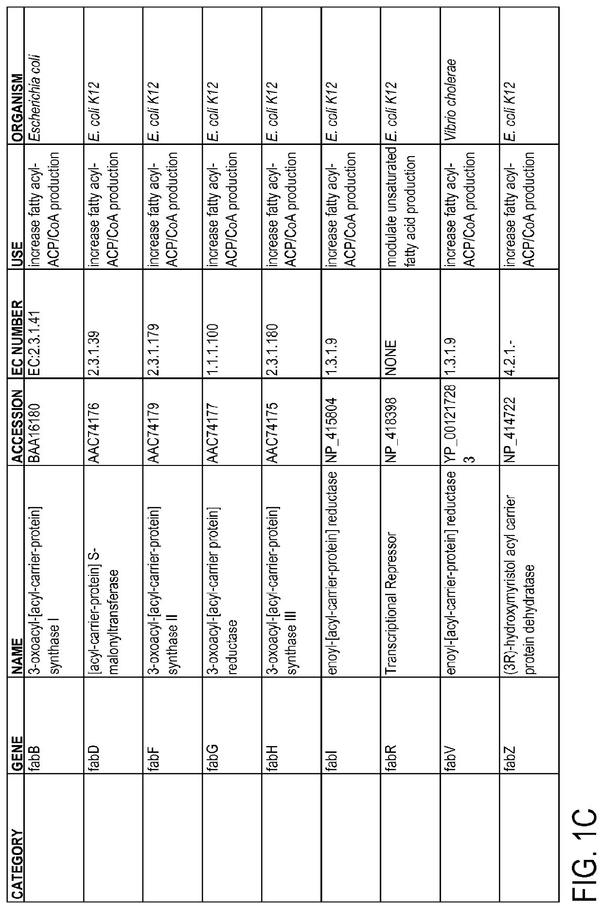 Methods And Compositions For Improved Production Of Fatty Acids And Derivatives Thereof