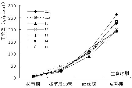 A comprehensive prevention and control technology for corn waterlogging disaster