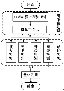 A Carrot Surface Defect Detection Method Based on Image Processing