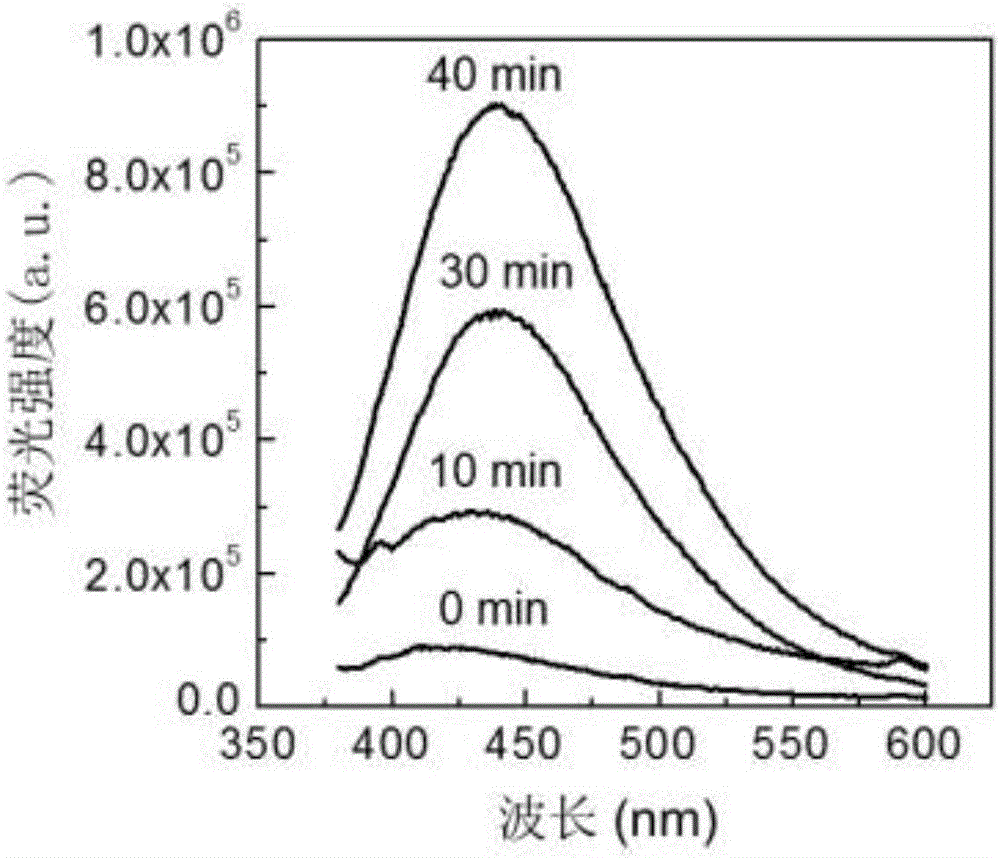 Preparation method and application of carbon dot/mesoporous silica composite material