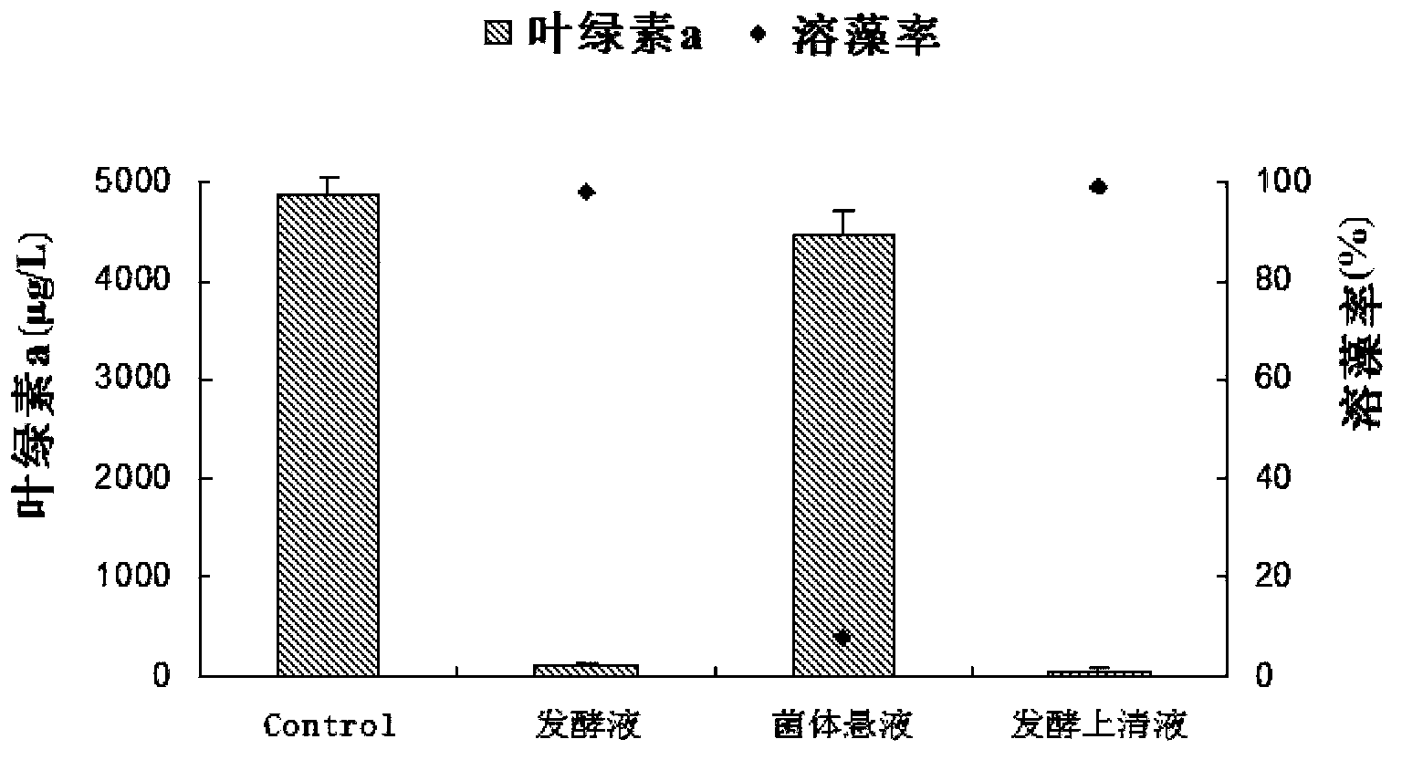 Bacillus pumilus with efficient alga-lysing activity and application thereof