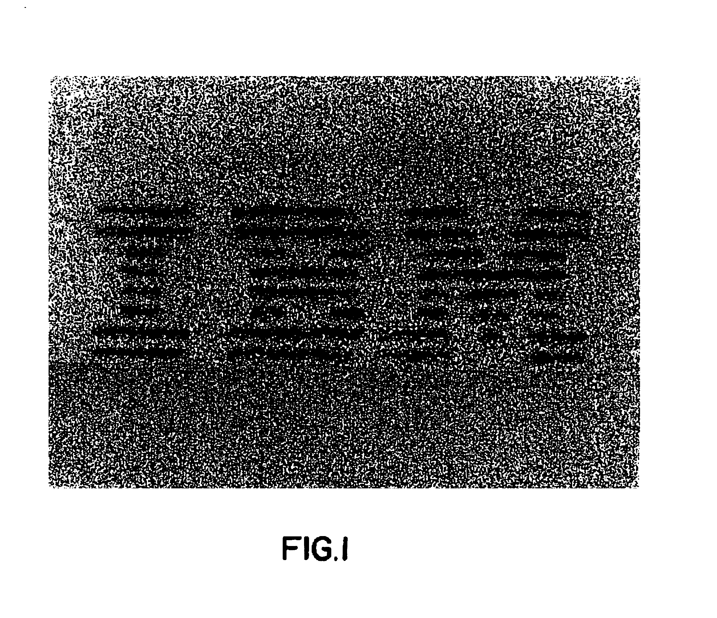 High sensitivity crosslinkable photoresist composition, based on soluble, film forming dendrimeric calix[4] arene compositions method and for use thereof