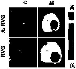 Nanocomposite containing boron-doped graphene quantum dots and application thereof