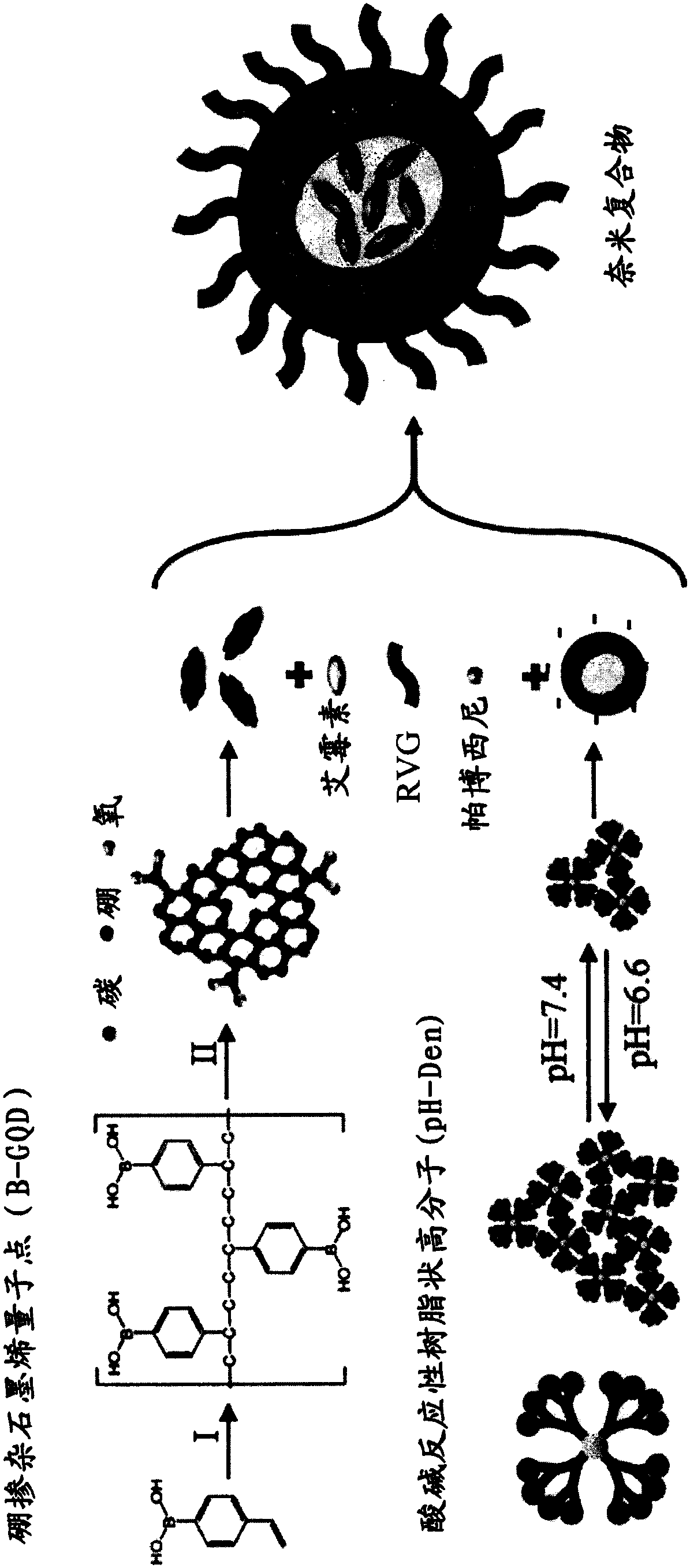 Nanocomposite containing boron-doped graphene quantum dots and application thereof