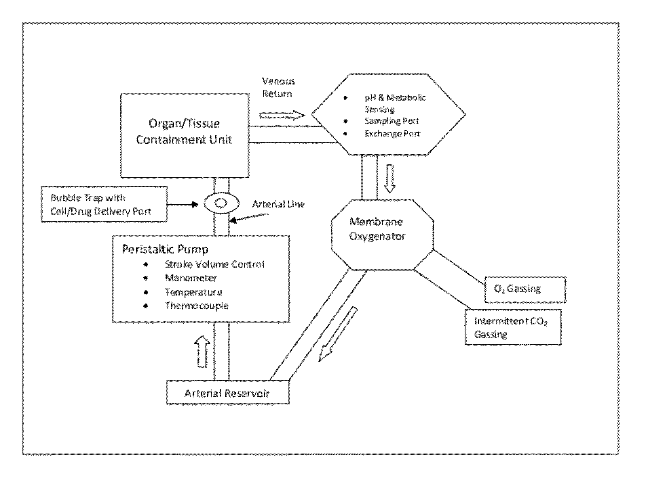 Delivery system for cell-based therapies