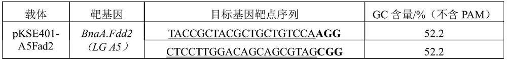 Application of fast period rape to field of research on rape functional genomics, and method