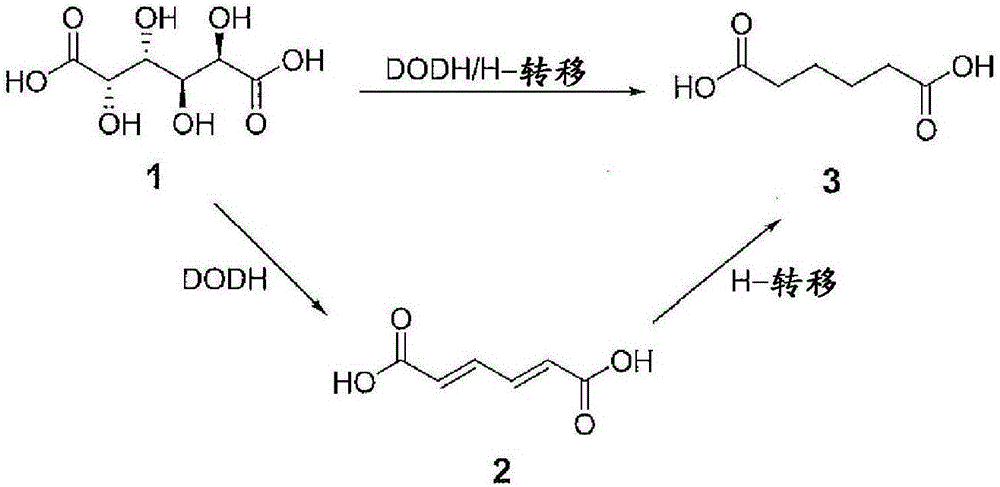 Chemical process to convert mucic acid to adipic acid