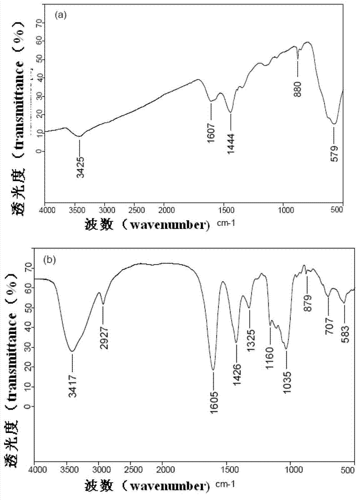 Functionalized Fe3O4 nano-particle and preparation method and application thereof
