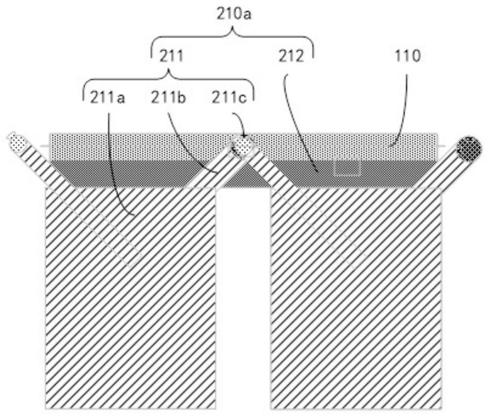 Display device and folding fan