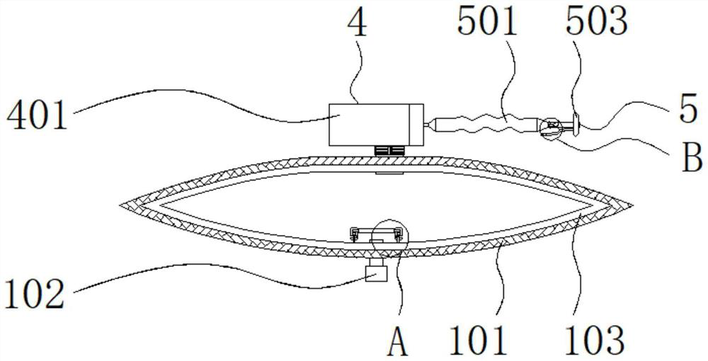 Collecting and purifying device for pregnant donkey urine