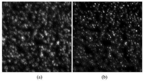 A method and device for super-resolution fluorescence lifetime imaging based on parallel detection