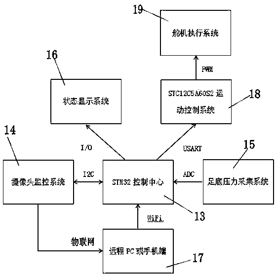 Ostrich-simulated robot control system with human-computer-environment co-fusion characteristics