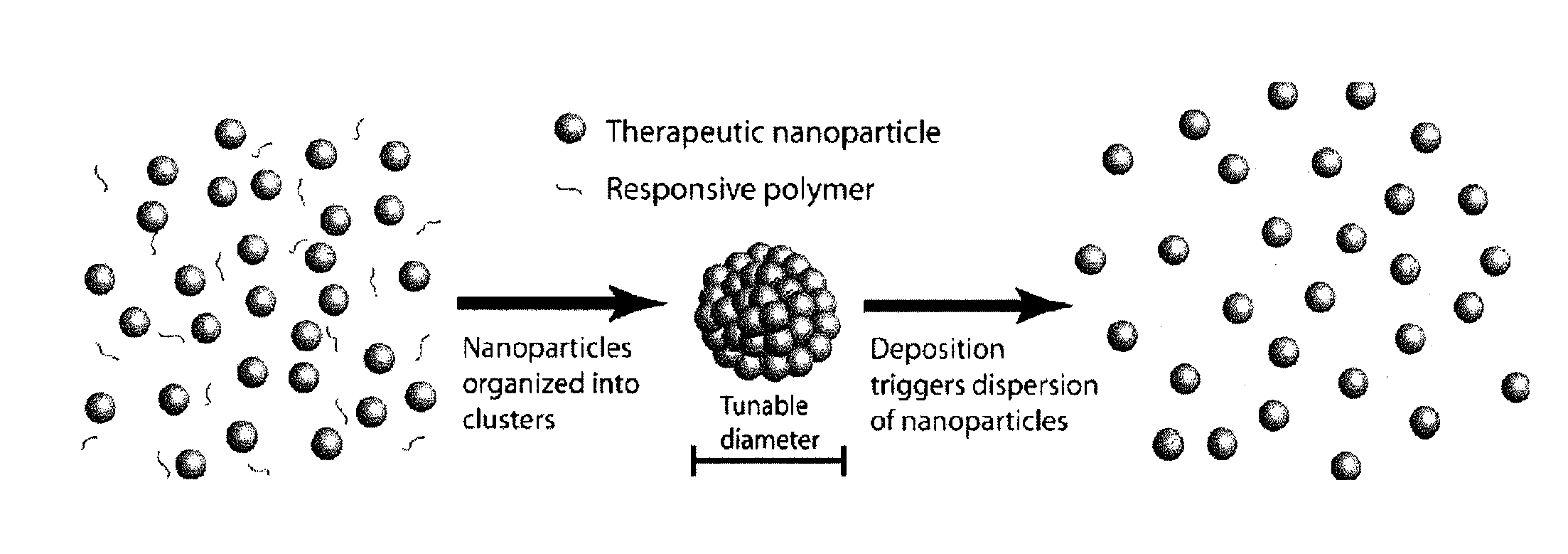 Nanoclusters for delivery of therapeutics