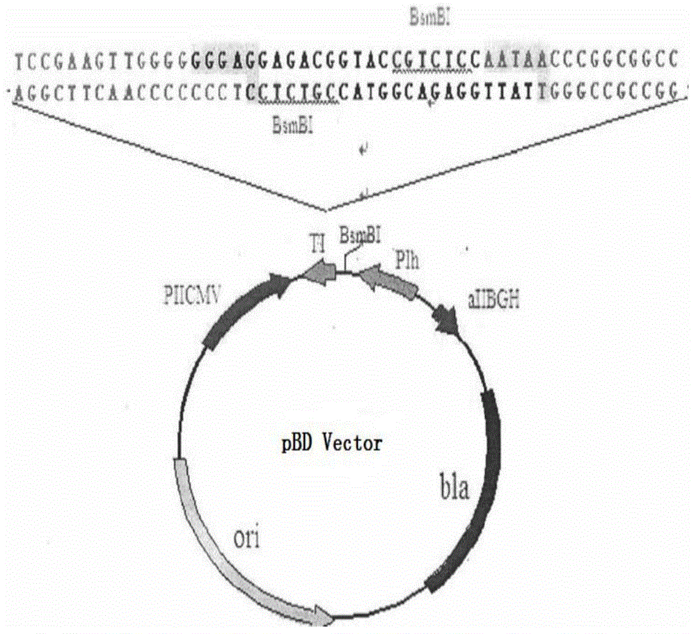 Artificial recombinant H9N2 avian influenza virus strain, preparation method, vaccine composition and application thereof