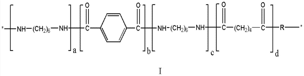 High temperature resistant nylon and its synthesis method