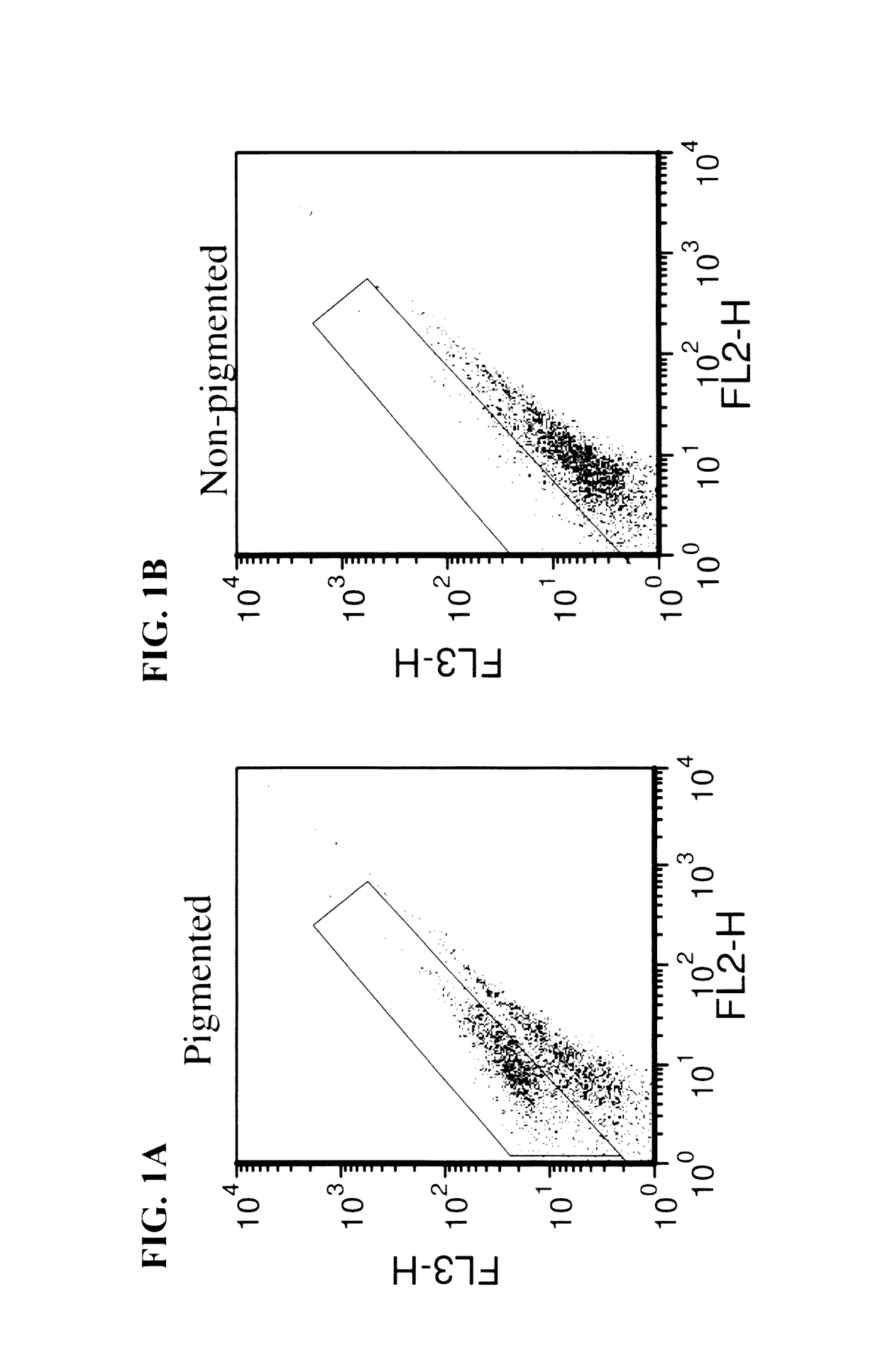 Methods of selecting retinal pigmented epithelial cells