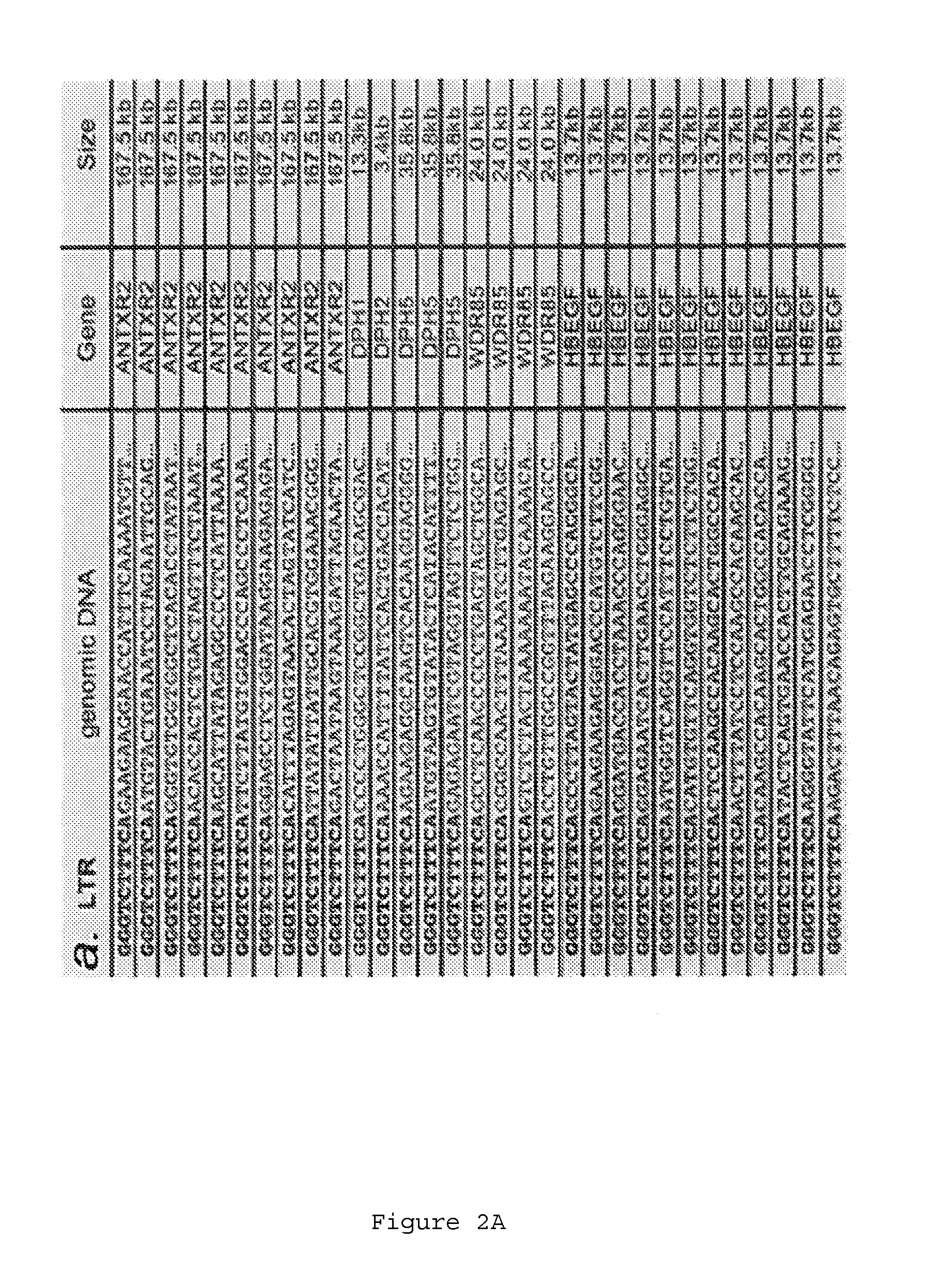 Compositions and methods for mammalian genetics and uses thereof