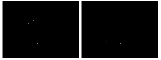 Preparation method for extracting antibacterial peptides from wood frog bodies by using ultrasonic waves